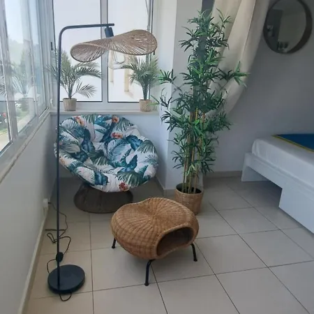 Apartamento T1, Proche Et Commerces *
