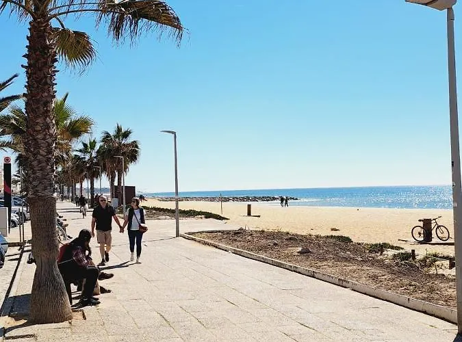 T1, Proche Et Commerces