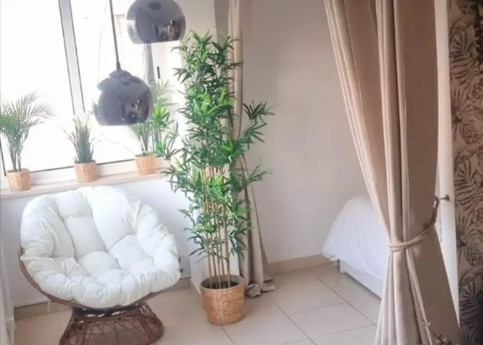 T1, Proche Et Commerces