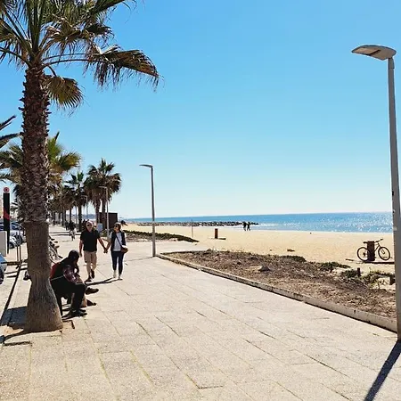 T1, Proche Et Commerces